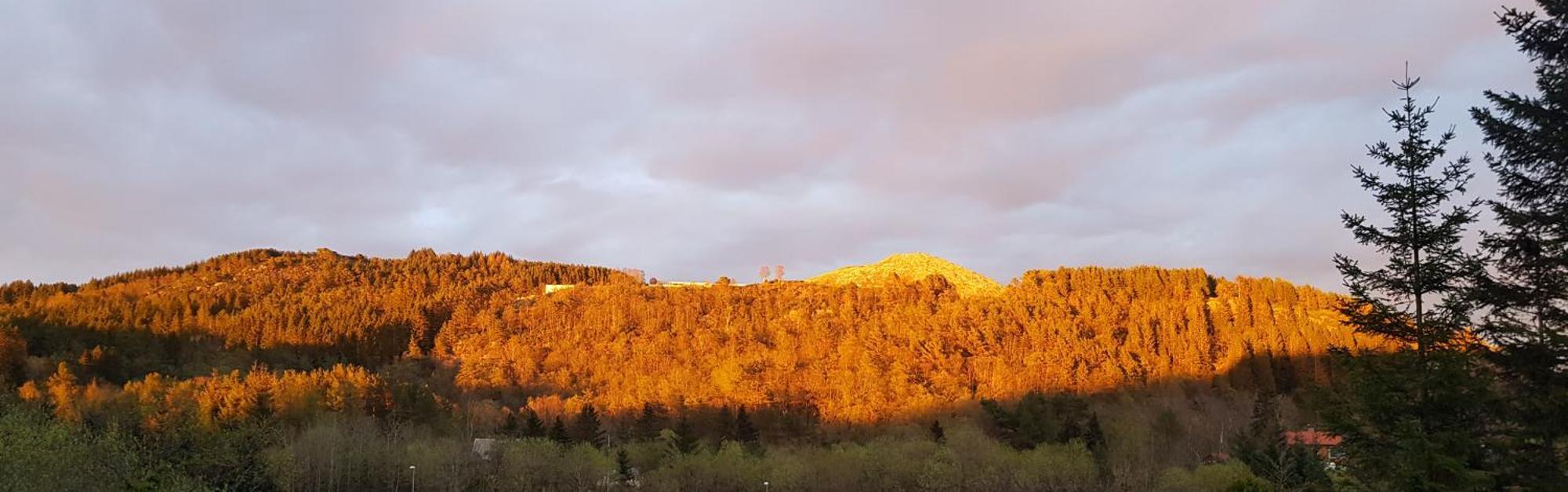 Fjordclaw Snm- Adjoining The Bergen City & Nature Kültér fotó